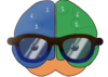 A cartoon-style brain is divided into three sections, denoted by blue, green, and orange colors. The brain is wearing glasses and has oval eyes.