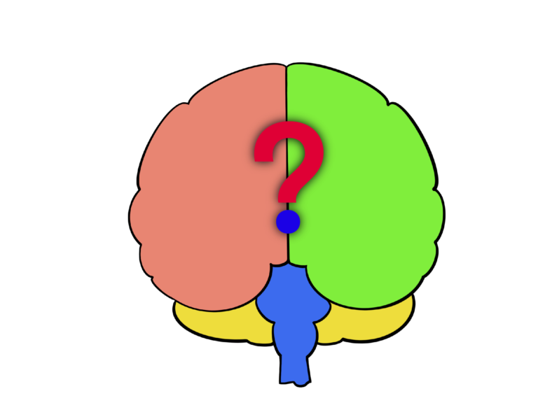 Graphic illustration of a simplified, stylized tree with a broad, bushy canopy in green, and a trunk in blue. The canopy has an overlay of a semi-transparent rectangle with a gradient fill transitioning from red to green to blue, representing possibly a digital effect or artistic concept. The background is transparent.